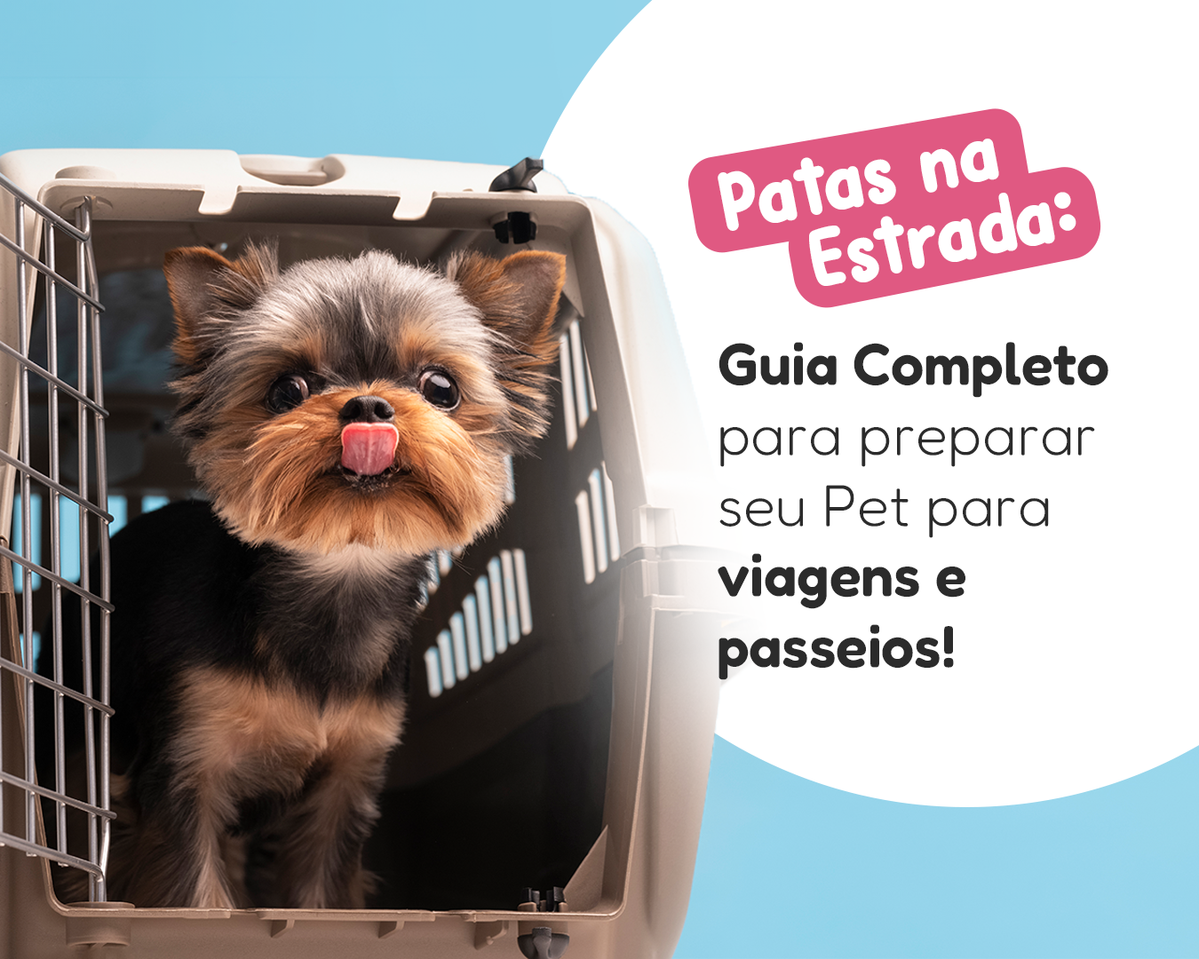 Patas na estrada: Guia completo para preparar seu pet para viagens e passeios!